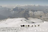 GEO Reportage – Karachai-Pferde sind die wohl legendärsten Nutztiere im Süden Russlands. Züchter wollen nun den Elbrus per Pferd besteigen.
