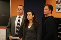 Navy CIS – Ein neuer Fall bereitet ihnen Kopfzerbrechen: McGee (Sean Murray, l.), DiNozzo (Michael Weatherly, r.) und Ziva (Cote de Pablo, M.) ...