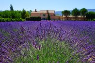 Stadt Land Kunst – Provence