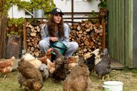 Frühling – Katja Baumann (Simone Thomalla) hat alle Hände voll zu tun.