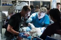 Code Black – Code Black (2016)