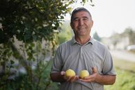 Zu Tisch ... – Zu Tisch Usbekistan Bahriddin zeigt stolz seine Quitten Copyright: SRF/Berlin Producers Media/Dunja Engelbrecht