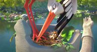 Überflieger - Kleine Vögel, großes Geklapper – Der Spatz Richard wird von einer Storchenfamilie aufgezogen.