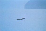 G&G Weekend – Szene aus der versteckten Kamera: Nessie aka Urnie