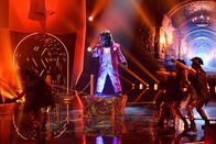 The Masked Singer – Der GORILLA