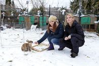 Anna und die Haustiere – In Danielas Tierhotel gibt es neben Einzelzimmern im Warmen auch Gartenbungalows.