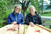Zu Tisch ... – Christina Bauer (re.) und ihre Freundin Christina Ebner (li.) verlesen Wildpreiselbeeren, die im Lungau "Granten" genannt werden.