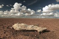 Planet Sand – Planet Sand (2016)