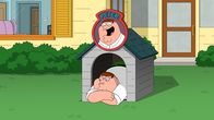 Family Guy – Peter Griffin