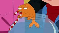 American Dad! – Klaus