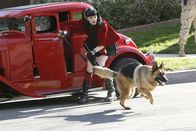 Navy CIS – Da der Hund, den McGee in Notwehr angeschossen hat, voller Spuren ist, bringt er ihn zu Abby (Pauly Perrette), die sich daraufhin sofort in das Tier verliebt. Gibbs versucht sie davon zu überzeugen, dass sie den Hund zurückgeben muss, aber Abby will mit allen Mitteln dessen Unschuld beweisen ...