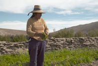 Die Anden – Die Kolla-Indianerin Norma kümmert sich gemeinsam mit ihren Schwestern um das Erbe ihrer verstorbenen Mutter: ein Stück Land in der Puna, einer Hochwüste in den argentinischen Anden, und eine Lama-Herde.