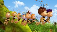 Die Biene Maja – Anstatt ihr Diplom zu schreiben, machen die Bienen einen Wiesenausflug.