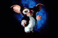 Gremlins II - Die Rückkehr der kleinen Monster – Nach sechs Jahren kehrt der niedliche, kleine Gizmo zurück, doch mit ihm kommen auch die hässlichen, bösen Gremlins wieder ...