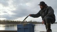 Alaska - Eisige Tradition – Tig Strassburg legt die Fische in seine Eimer. (National Geographic für Disney)