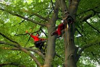 CheXpedition – Marc hilft Checker Julian (links) einen Baum zu erklimmen.