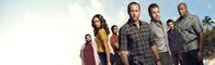 Hawaii Five-0 – (8. Staffel) - Kämpfen gegen das organisierte Verbrechen auf Hawaii: Steve McGarrett (Alex O'Loughlin, M.), Danny Williams (Scott Caan, 3.v.r.), Adam Noshimuri (Ian Anthony Dale, 2.v.r.), Lou Grover (Chi McBride, r.), Jerry Ortega (Jorge Garcia, l.), Tani Rey (Meaghan Rath, 2.v.l.) und Junior Reigns (Beulah Koale, 3.v.r.).