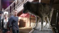 Wolf Town – L-r: Kyle (Levi Fiehler), Jess (Alicia Ziegler), Rob (Josh Kelly)