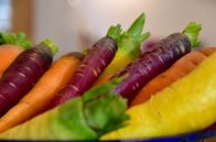 Zu Tisch ... – Bunte Rüebli – die Karotte ist ein Alleskönner: ob roh, frittiert oder gekocht. Ihr süßer Geschmack passt in viele Gerichte und vom Blatt bis zur Wurzel lässt sich alles verwerten.