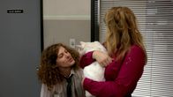 Workaholics – Blake Henderson (Blake Anderson)
