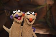 Unser Sandmännchen – Die Erdmännchen Jan und Henry bemerken neben einem seltsamen Geräusch auch einen mysteriösen Geruch in Ihrer Höhle.