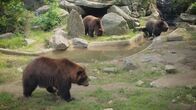 San Diego Zoo – Fr, 23.10., 07:00 Uhr