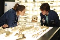 Bones - Die Knochenjägerin – Dr. Brennan (Emily Deschanel, l.); Dr. Addy (Eric Millegan, r.)