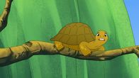 Törtel – Schildkröte Törtel hat sich in schwindelerregende Höhe begeben - und das nur, weil er seinem Freund helfen wollte, seine Liebste zurückzuerobern. Doch wie befreit sich die Schildkröte jetzt aus dieser brenzligen Situation?