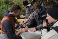 P.M. Wissen – Dr. Kurt Pinter injiziert einen Transponder (PIT-Tag) in eine Regenbogenforelle. Frisst ein Kormoran später diesen Fisch, scheidet er den Transponder zusammen mit unverdaulichen Fischresten wieder aus. Die Forscher suchen nach den Transpondern und analysieren dadurch, welche Fische in welcher Größe der Kormoran bevorzugt frisst.