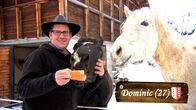 Bauer, ledig, sucht... – Dominic