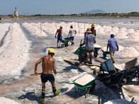 GEO Reportage – Eingelegt werden die Kapern traditionell in Salz aus Sizilien, das seit der Antike in den Salinen von Trapani und Marsala hergestellt wird.