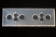 P.M. Wissen – Können Biochips Tierversuche ersetzen?