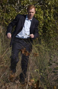 CSI: Miami – CSI: Miami (2004)