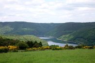 Wunderschön! – Dreiborner Hochfläche im Nationalpark Eifel.
