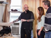 Der Katzenflüsterer – Jackson Galaxy, Tenille und Chris