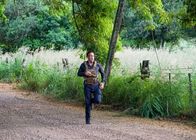 Hawaii Five-0 – Hawaii Five-0 (2018)