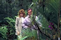 Hart aber herzlich – Bei ihrem Kontrollgang durch das Reservat machen Jennifer (Stefanie Powers, l.) und Jonathan (Robert Wagner, r.) eine überaus seltsame Entdeckung ...