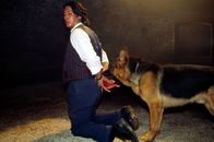Kommissar Rex – Kommissar Moser (Tobias Moretti) ist bei dem Versuch, eine Bande von Organschiebern zu verhaften, verletzt und gefangen genommen worden. Rex findet sein schwer angeschlagenes Herrchen in einem Keller und versucht, ihn von seinen Fesseln zu befreien.