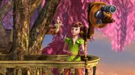 Peter Pan - Neue Abenteuer – Peter Pan und Tinker Bell in ihrem Fantasiebaum.