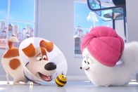 Pets 2 – L-R: Max, Gidget