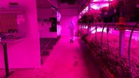Ganz Ohr – Esther beim Besuch einer Vertical Farm.
