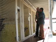 Der Hundeflüsterer – From National Geographic Channel's Dog Whisperer IV, Cesar walks Ernesto through the San Gabriel Humane Society.