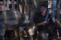 John Rambo – Hat das Kämpfen schon vor geraumer Zeit aufgegeben, doch als es brennt, kann er sofort auf jahrelange Erfahrung zurückgreifen: Rambo (Sylvester Stallone) ...