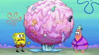 SpongeBob Schwammkopf – L-R: SpongeBob, Patrick
