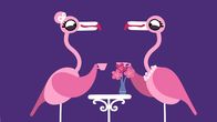 Animanimals – Die Flamingos genießen ihr Kaffeekränzchen.