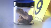Täterjagd – Nach der Analyse der Knochen steht fest: Es handelt sich um die sterblichen Überreste von Françoise Desnoue.