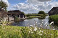 Leben an der Nordsee – Die Norfolk Broads sind eine von Menschen geschaffene Kulturlandschaft. Zum Dachdecken wird noch heute Reet verwendet.