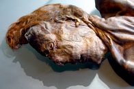 Die Kelten – Clonycavan Man wurde das Opfer eines keltischen Rituals. Sein Leichnam wurde in einem irischen Torfmoor gefunden. Das Moor hat ihn perfekt konserviert.