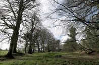 Stadt Land Kunst – Mit „The Quiet Girl“ porträtiert der Regisseur Colm Bairéad das ländliche, wortkarge Irland.