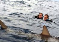 Open Water – Wenn ein Albtraum Wirklichkeit wird: Susan (Blanchard Ryan, l.) und Daniel (Daniel Travis, r.) ...